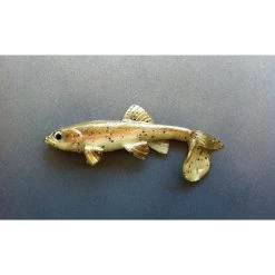 Little Creeper Baits All American Trash Fish Fatty -Love Fishing Store rainbiow