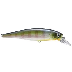 Lucky Craft Pointer SP 65 Jerkbait -Love Fishing Store rs 10 f1163895 b249 4ed4 95f6 bd85942b29d8