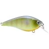 Lucky Craft KJ Flat 1.5 Crankbait 1 Lucky Craft KJ Flat 1.5 Crankbait -Love Fishing Store rs 24