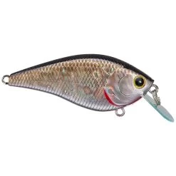 Lucky Craft KJ Flat 1.5 Crankbait -Love Fishing Store rs 25