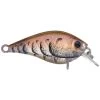 Lucky Craft LC 0.3 Squarebill Crankbait -Love Fishing Store rs 9 1bfa8eff 2735 4ba1 ad9c 09473e648a25