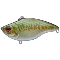 Deps MS Vibration Tg Knocking Lipless Crankbait -Love Fishing Store rs 2a4b115b 74f3 460d 8557 9963943e2f10