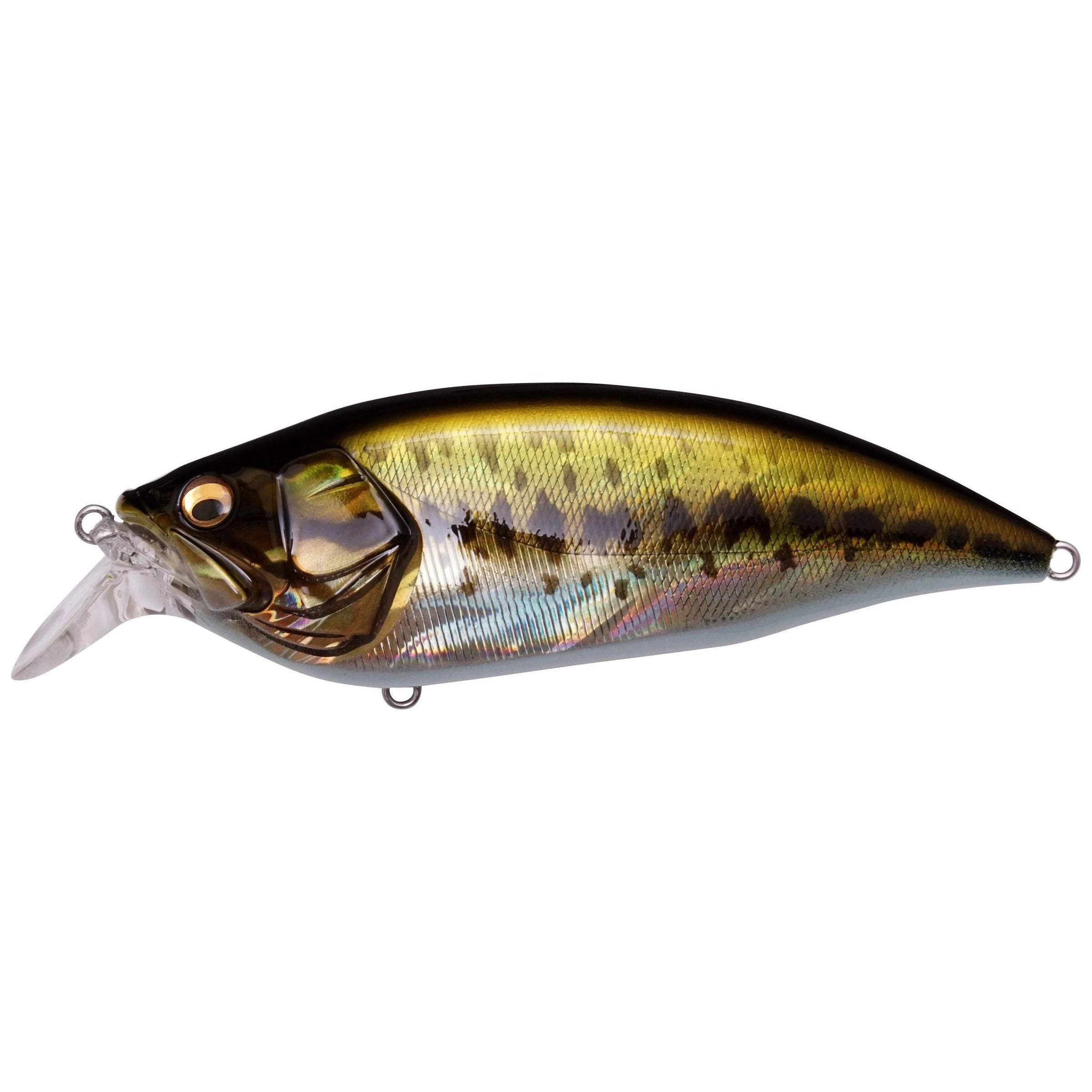 Megabass Big-M2.0 Crankbaits 4 Megabass Big-M2.0 Crankbaits - Image 2