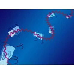 Megabass S-Crank 2.0 -Love Fishing Store s crank action