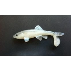 Little Creeper Baits All American Trash Fish 15 Little Creeper Baits All American Trash Fish -Love Fishing Store white 968e5910 2650 4887 b6ee a4f7051a2423